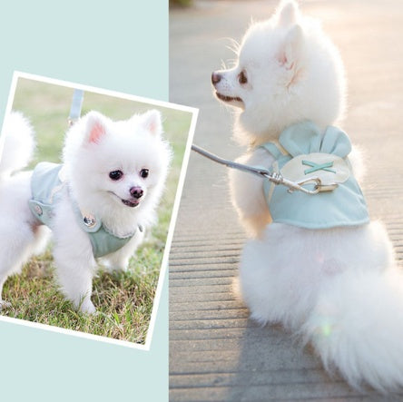 Nice Cute Pet Dog Harness Leash Set