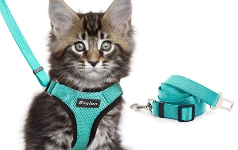 Toll Escape Proof Cat Vest Harness And Car Seat Belt Adapter Adjustable Reflective Cat Harness Soft Mesh Harness For Kitten Puppy