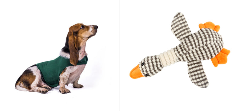 Cat Clothes Dog Comfort