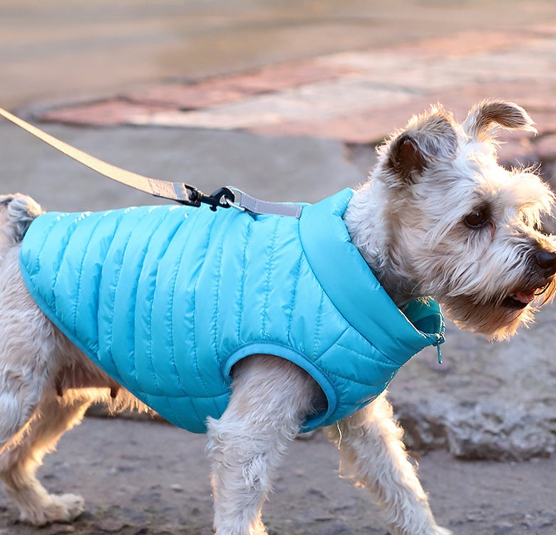 Pet Clothing Autumn  Winter