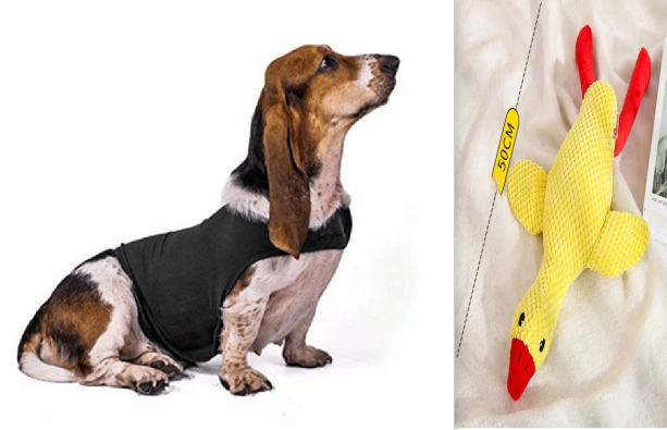 Cat Clothes Dog Comfort