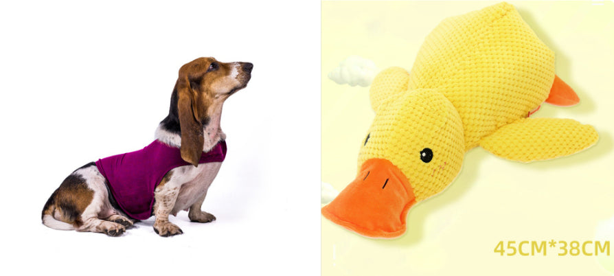 Cat Clothes Dog Comfort