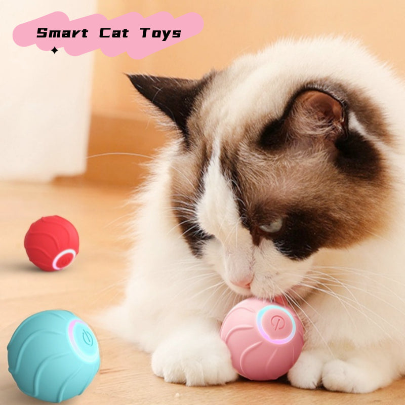Toys Ball Pet
