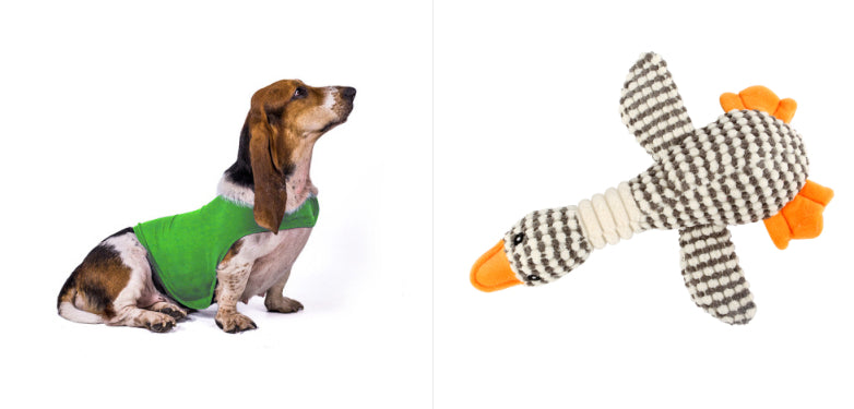 Cat Clothes Dog Comfort