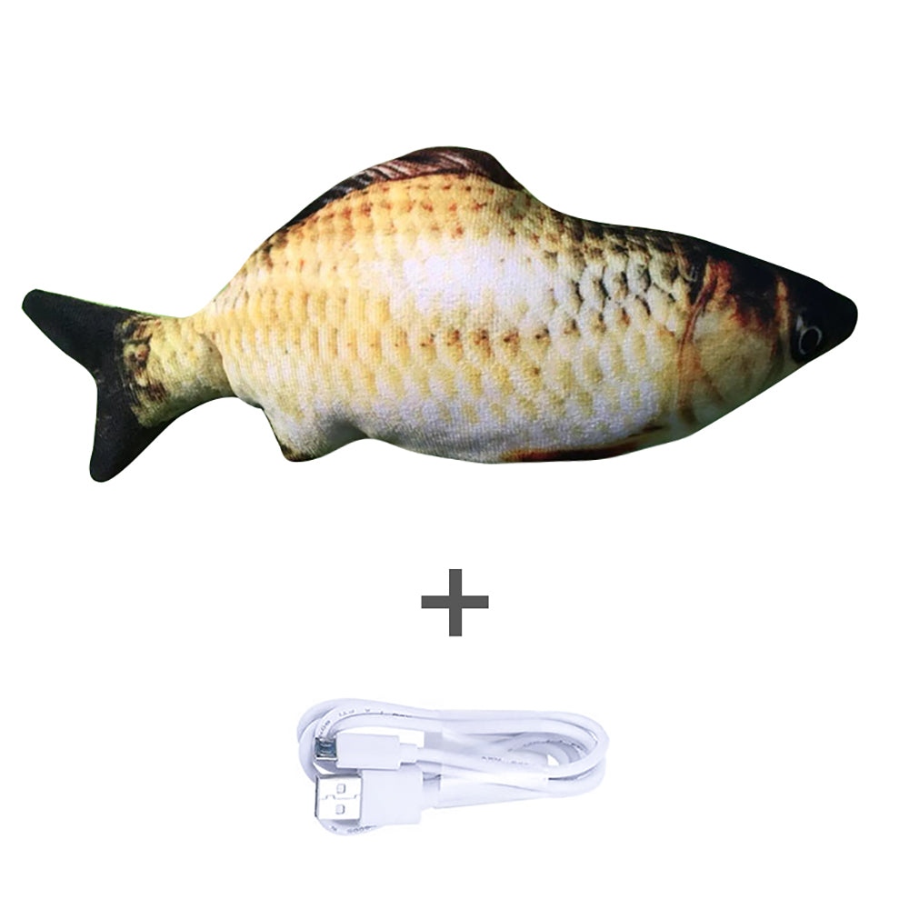 Fish Electric Toy