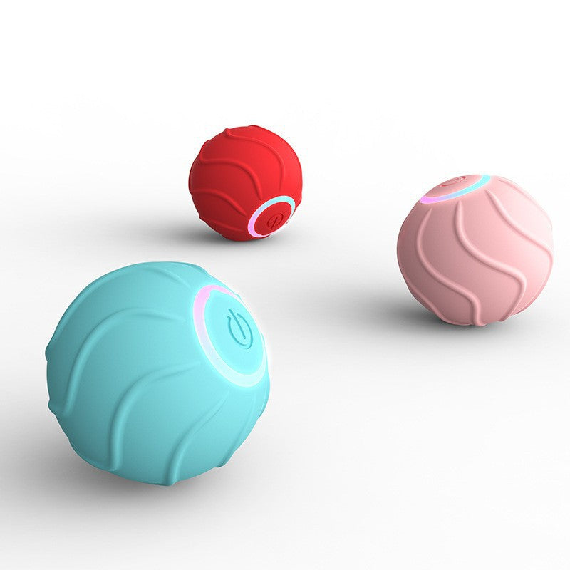 Toys Ball Pet