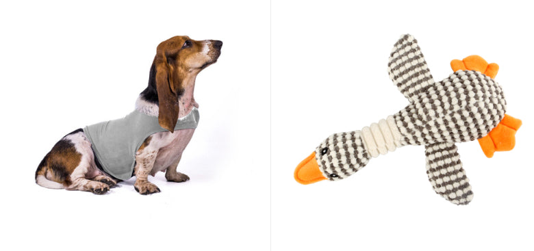 Cat Clothes Dog Comfort