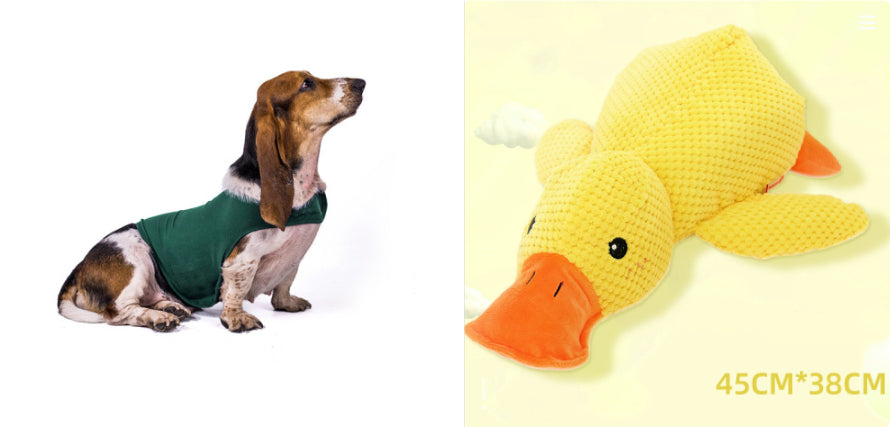 Cat Clothes Dog Comfort