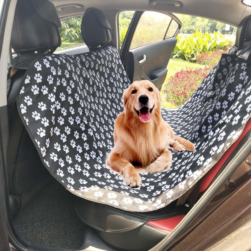 Multifunctional Pet Car