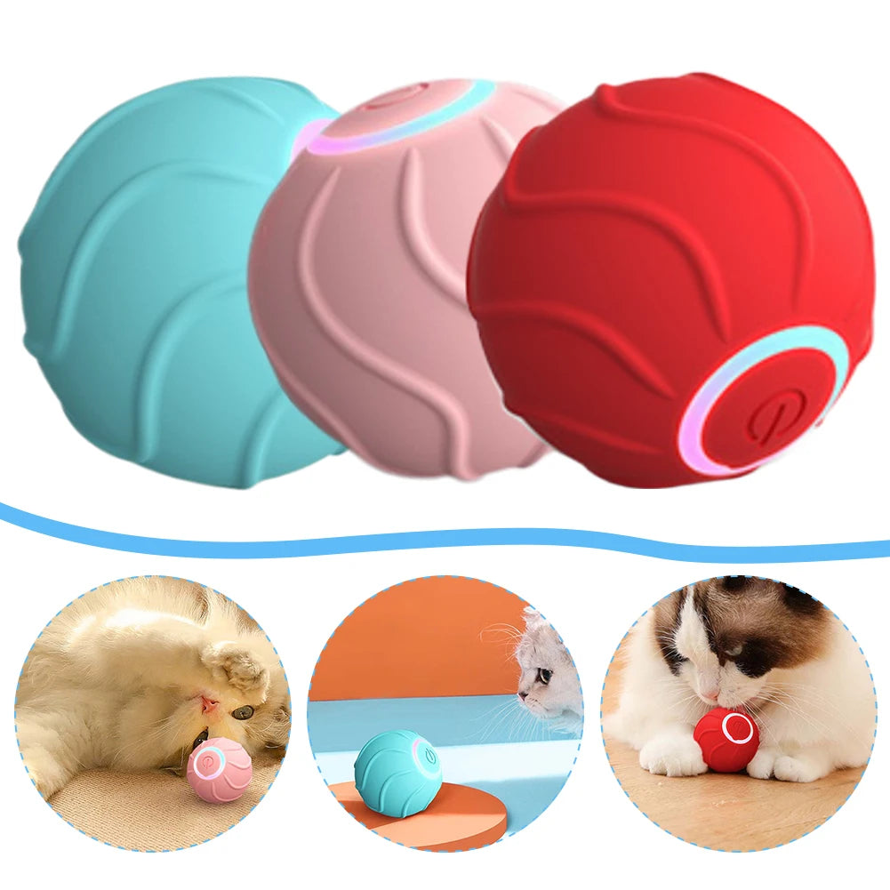 Toys Ball Pet
