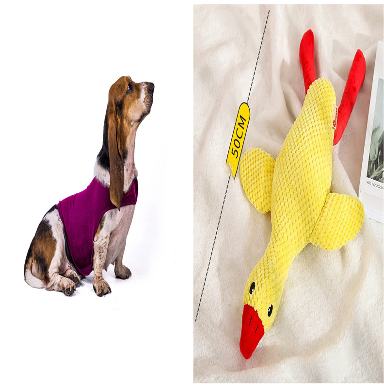 Cat Clothes Dog Comfort