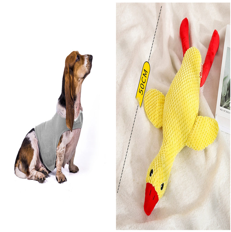 Cat Clothes Dog Comfort