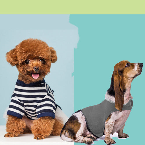 Cat Clothes Dog Comfort