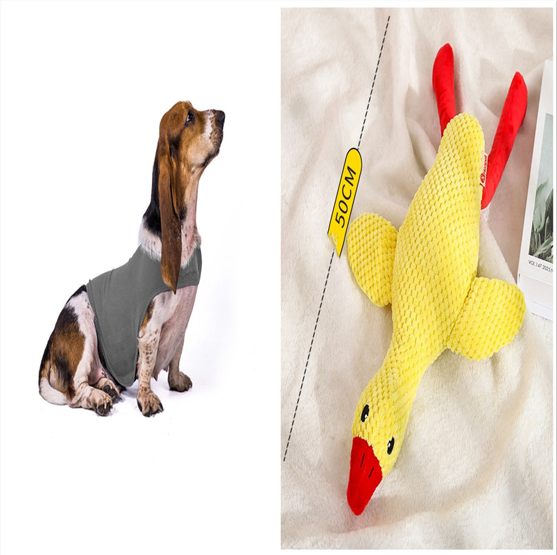 Cat Clothes Dog Comfort