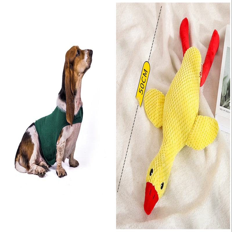 Cat Clothes Dog Comfort